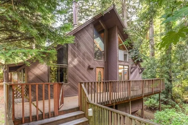 Cozy Treehouse