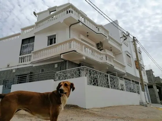 Cozy White House - Hostel - Dış Mekan