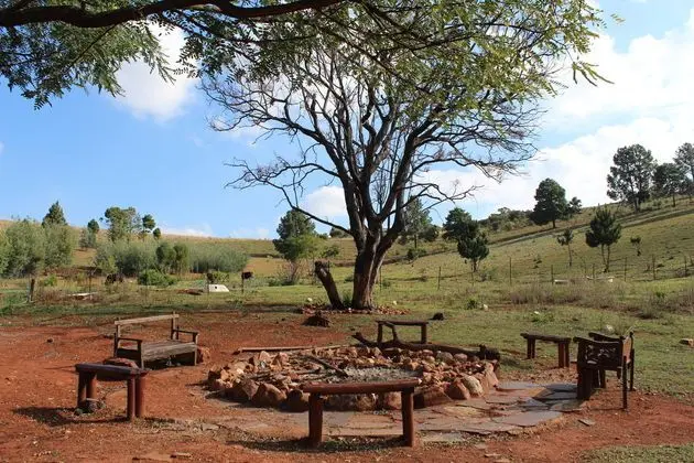 THE CRADLE REST - Genel