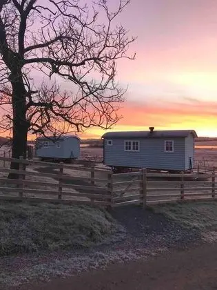 Craigduckie Shepherds Huts - Dış Mekan