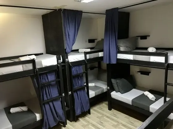 Crazy Bears Hostel - Öne Çıkan Resim