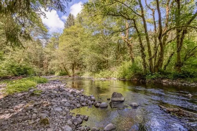 Creek Haven - Dış Mekan