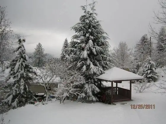 Creekside B & B - Dış Mekan