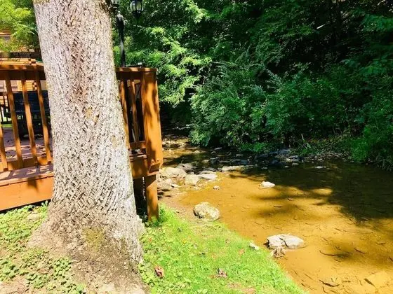Creekside Dreams - One Bedroom Cabin - Dış Mekan