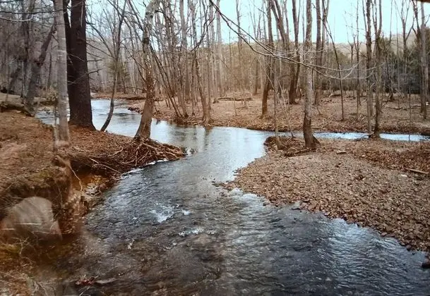 Creekview Cabin - Öne Çıkan Resim