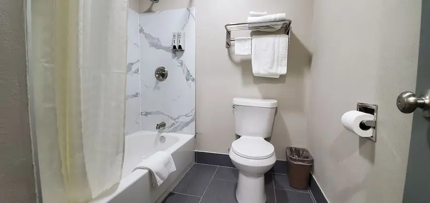 Crescent Park Motel & Suites - Banyo Tipleri