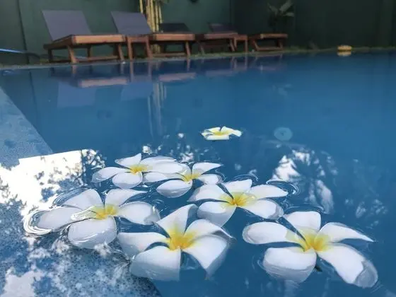 Crescent Resort - Havuz