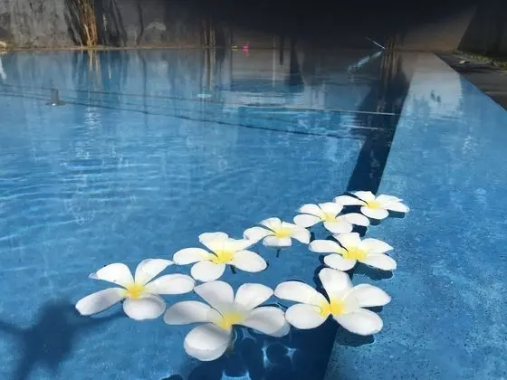 Crescent Resort - Öne Çıkan Resim