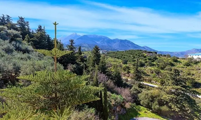 Cretan Sunny Villa Heated Pool