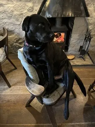 The Crewe Arms - Bar