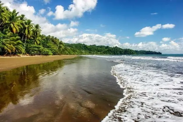 Cristal Ballena Boutique Hotel & Spa - Plaj