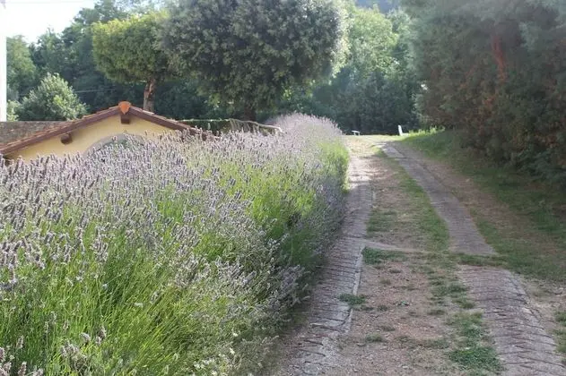 Hotel Croce di Savoia - Dış Mekan