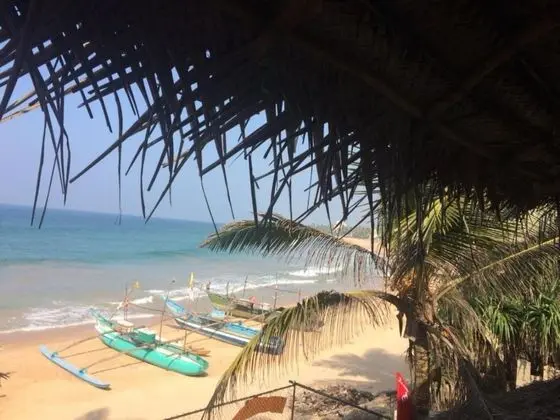 villa crocodile beach - Plaj
