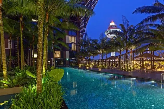 Crowne Plaza Changi Airport - Havuz
