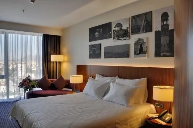 Crowne Plaza Kayseri - Oda