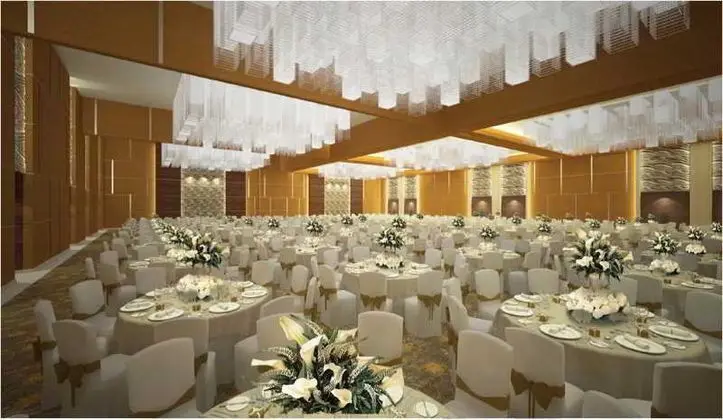 Crowne Plaza Nanjing Jiangning - İş / Konferans