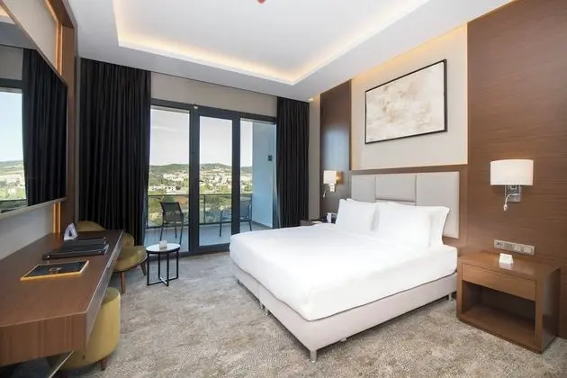 Crowne Plaza Yalova, Bir IHG Oteli - Oda