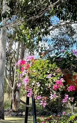 Crows Nest Motel