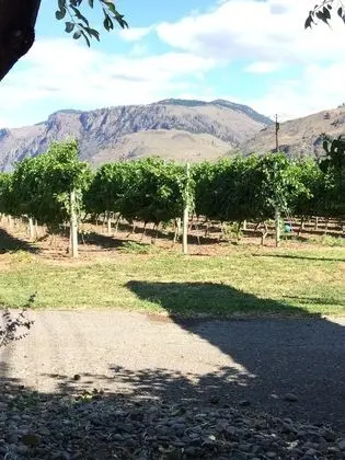 Crowsnest Vineyards Guesthouse - Dış Mekan