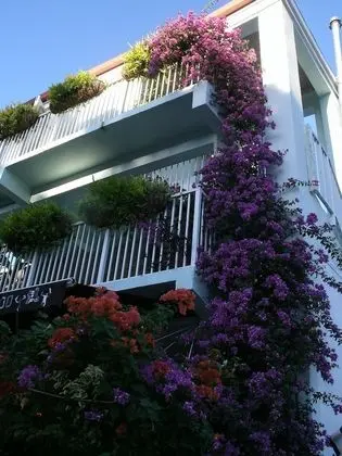 Cruz Bay Boutique Hotel - Dış Mekan