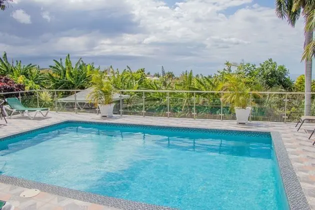 Crystal Jamaica Villa - Havuz