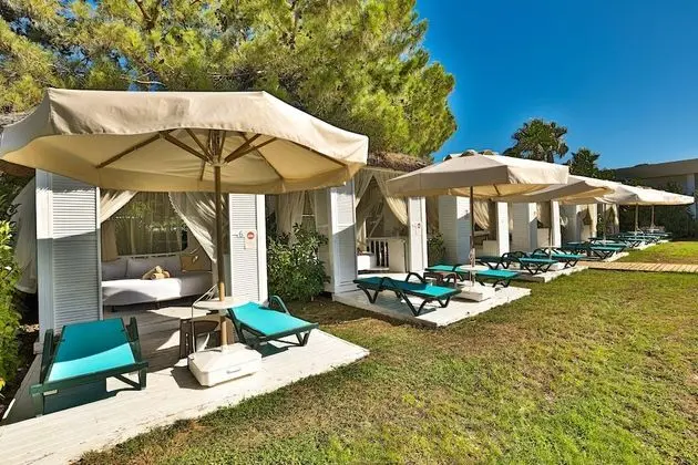 Crystal Prestige Elite - 3