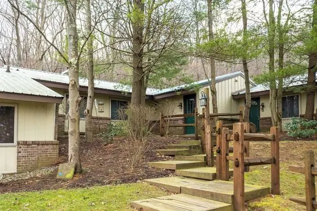 Cub House - Öne Çıkan Resim