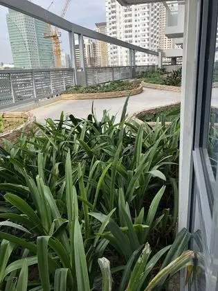 Cubao ManhattanHeights Unit 4Q Tower D - Dış Mekan