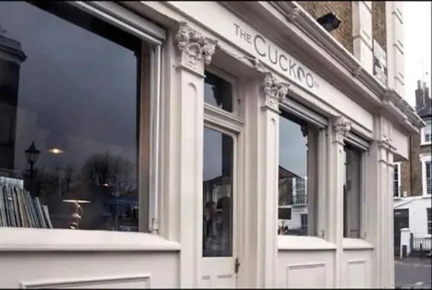 The Cuckoo N1