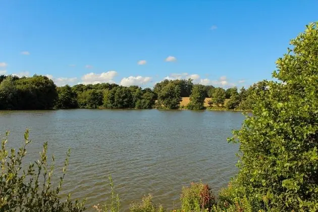 Cuddfan Lodge on a Gorgeous Private Lake - Genel