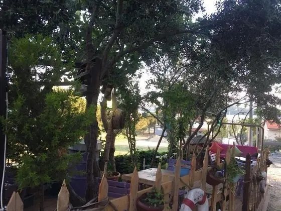 Cunda TheLara Otel - Manzara / Peyzaj