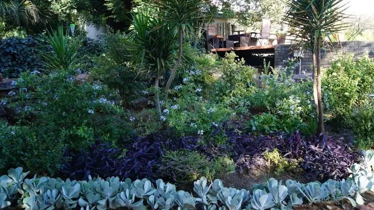 Cunningham Cottage Guest House - Dış Mekan