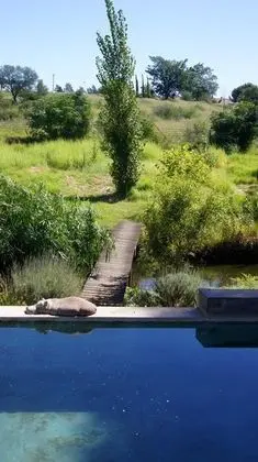 Cunningham Cottage Guest House - Havuz