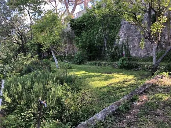Villa Curiel - Dış Mekan