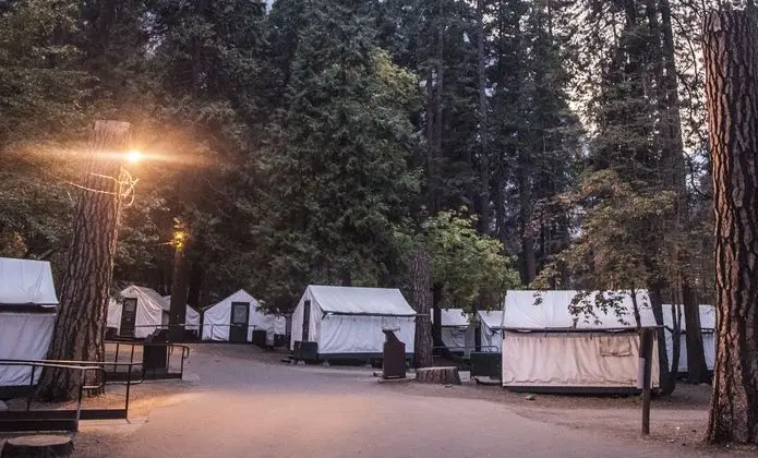 Curry Village - Öne Çıkan Resim
