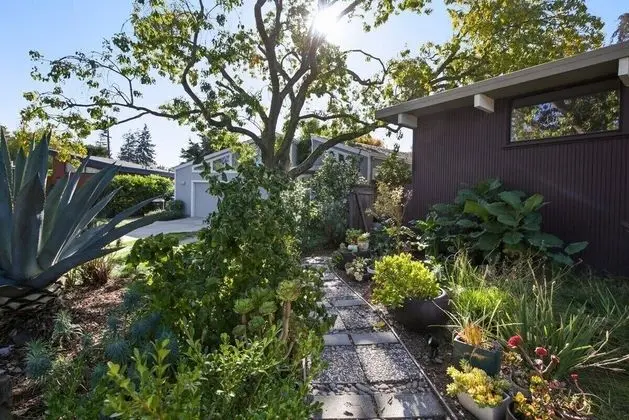 Cute and Cozy Studio in Palo Alto - Dış Mekan