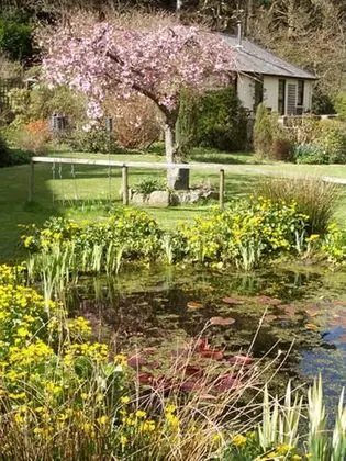 Cwm Irfon Lodge Cottages - Dış Mekan