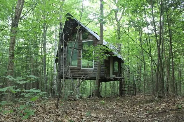 D Acres of New Hampshire - Dış Mekan