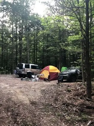 D Acres of New Hampshire - Oda