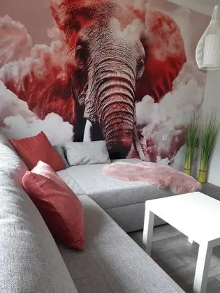D&B staycation Resort - Oda Düzeni
