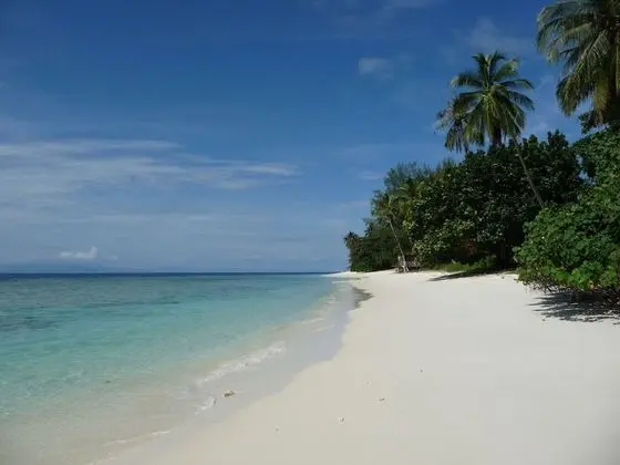 D' Coconut Pulau Besar Resort - Plaj