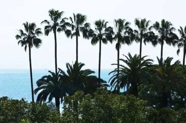 Villa d' Estelle Cannes