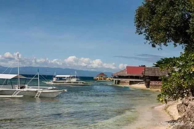 D' Gecko Hotel