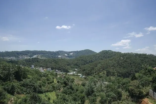 D House Dalat