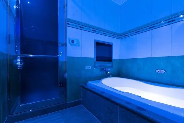 HOTEL D-WAVE Shinjuku - Adults Only - İç Mekan