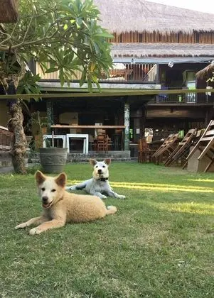 Da Housetel - Dış Mekan