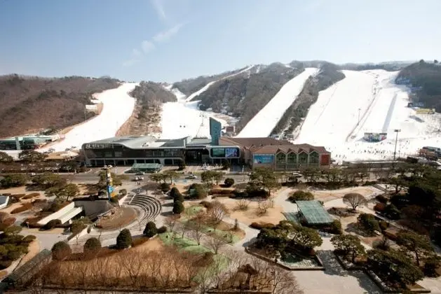 Daemyung Vivaldi Park Oak