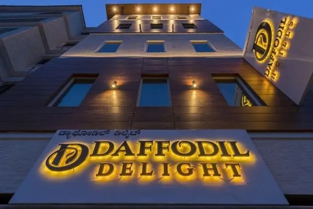 Daffodil Delight - Öne Çıkan Resim