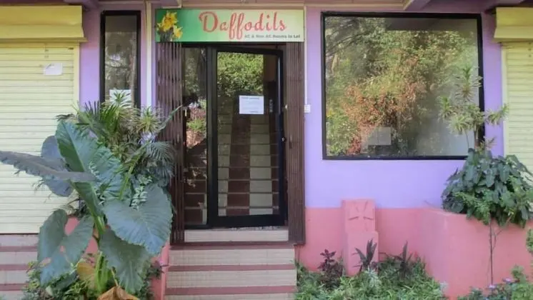 Daffodils Guest House