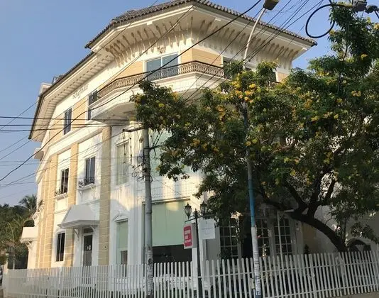 Daffodils Spice Court